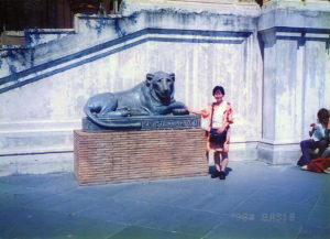 サン・ピエトロ広場のライオン