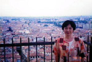 塔の上から見たヴェローナの街
